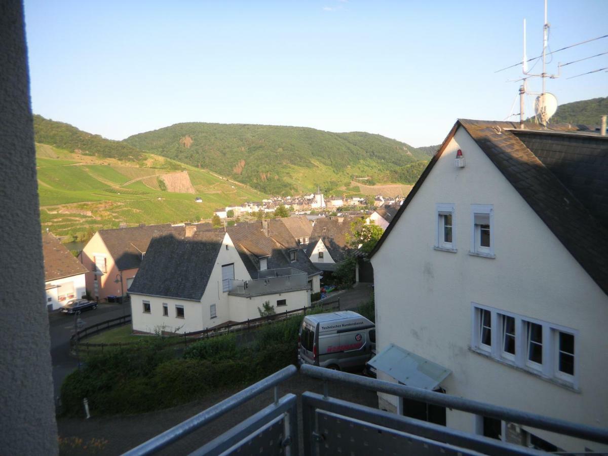 Ferienwohnung Bernkastel-Kues - Alte Rebschule Dış mekan fotoğraf